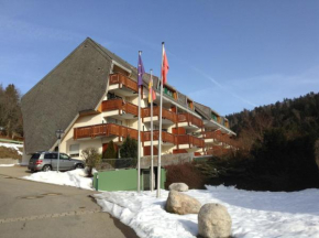 Haus Dachsberg Todtmoos
